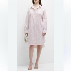 Harshman Pink Striped Willow Shirt Dress